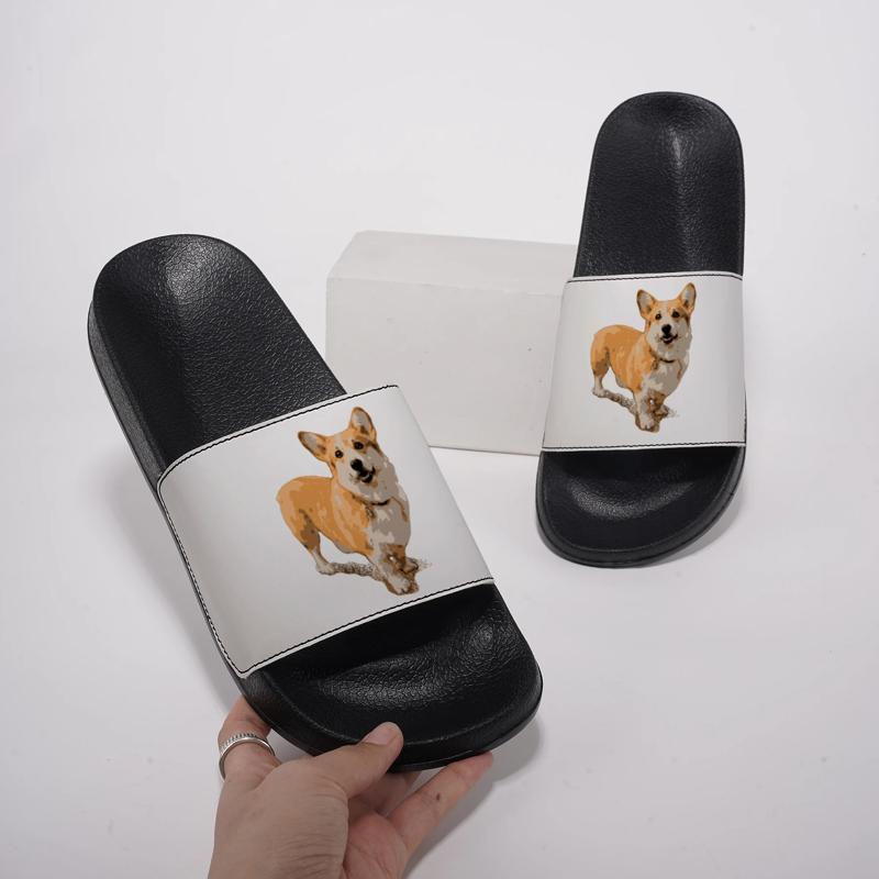 Pantoufles d'intérieur pour fe - Men Shoes Illustration avis et prix