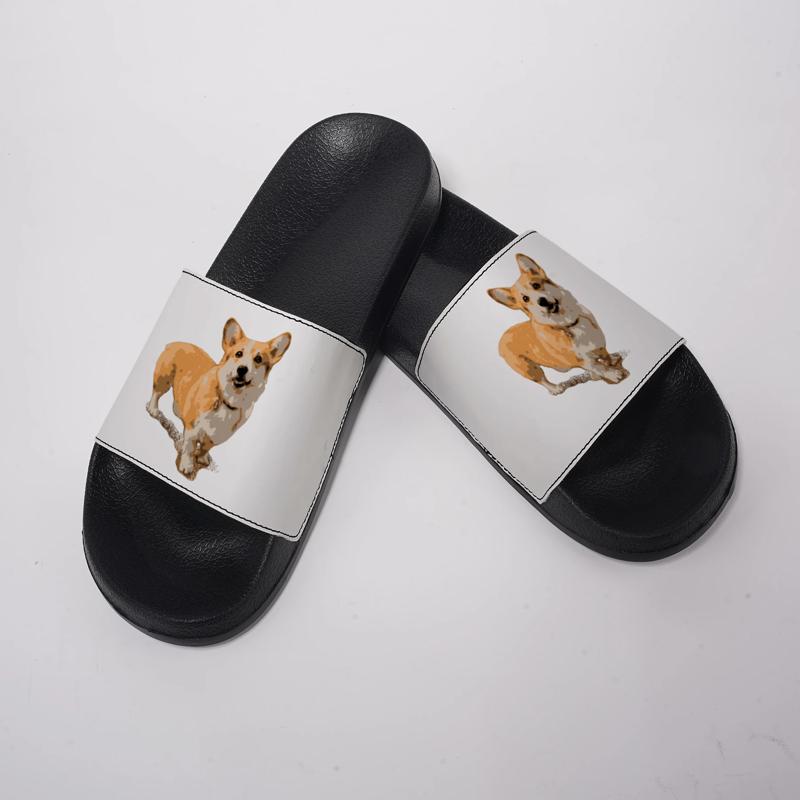 Pantoufles d'intérieur pour fe - Men Shoes Illustration avis et prix